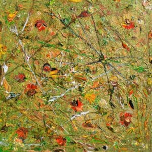 Avifauna by Keren de Vreede